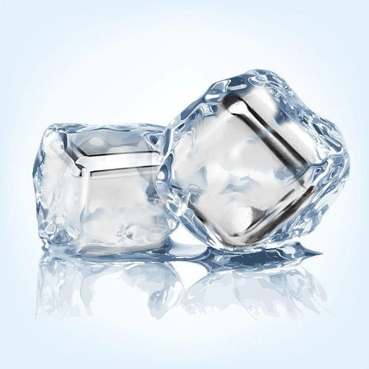 Antarctica Stainless Steel Ice Cube - HomeCozify