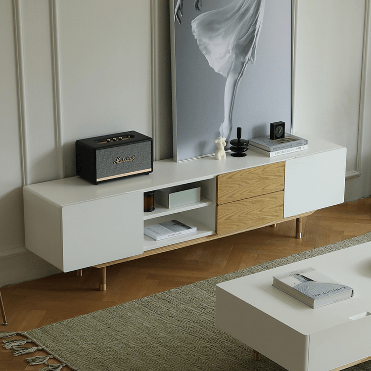Beatrix Modern TV Stand - HomeCozify