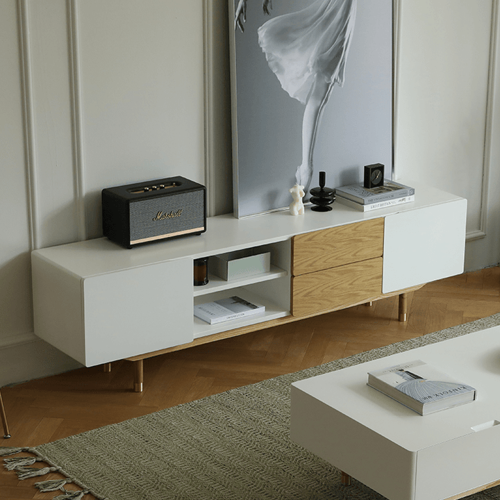 Beatrix Modern TV Stand - HomeCozify