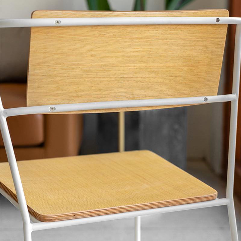 Elodie Modern Dining Chair (Set of 2) - HomeCozify