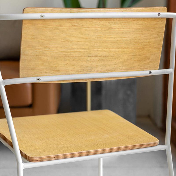 Elodie Modern Dining Chair (Set of 2) - HomeCozify
