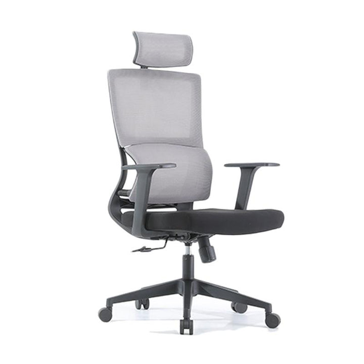 Ergonomic Office Chair - HomeCozify