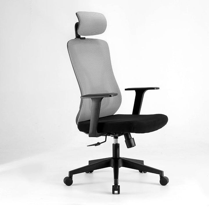 Ergonomic Office Chair - HomeCozify