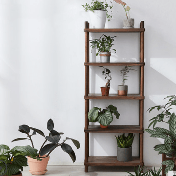 Erika Solid Wood Bookcase - HomeCozify
