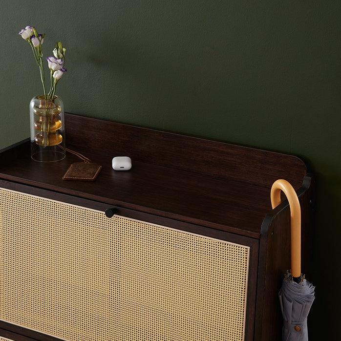 Francesco Shoe Storage Cabinet - HomeCozify