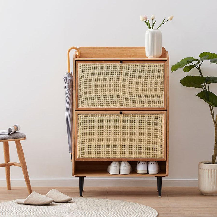 Francesco Shoe Storage Cabinet - HomeCozify