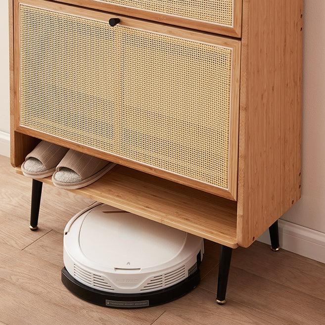 Francesco Shoe Storage Cabinet - HomeCozify