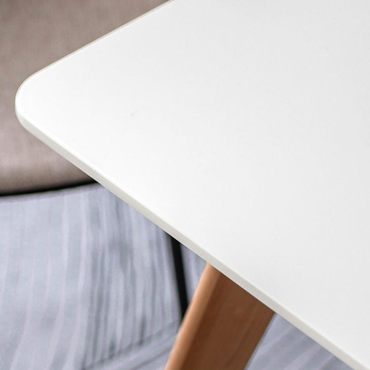 Radmila Minimalism Desk - HomeCozify