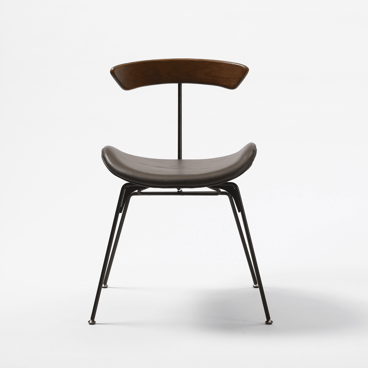 Richardo Side Chair (Set of 2 or 4) - HomeCozify