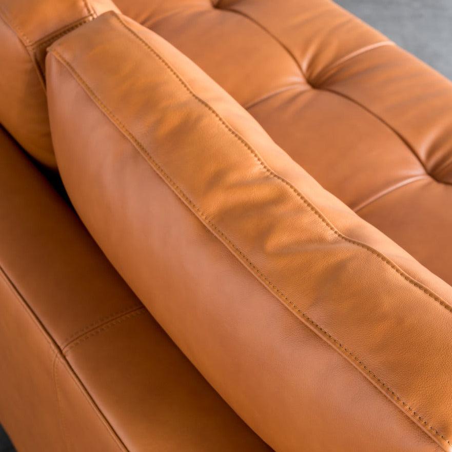 Zane Arm Sofa - HomeCozify