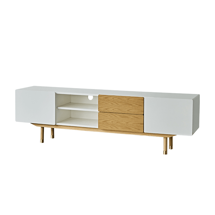 Beatrix Modern TV Stand - HomeCozify