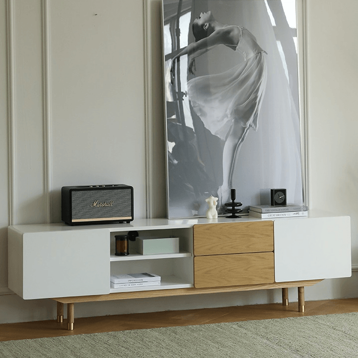 Beatrix Modern TV Stand - HomeCozify