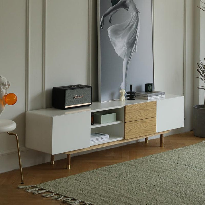 Beatrix Modern TV Stand - HomeCozify