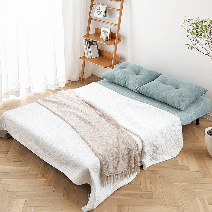 Eve Sofa Bed - HomeCozify