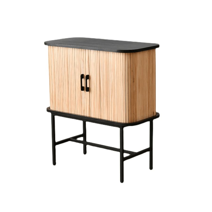 Oceana 2 Door Wood Cabinet - HomeCozify