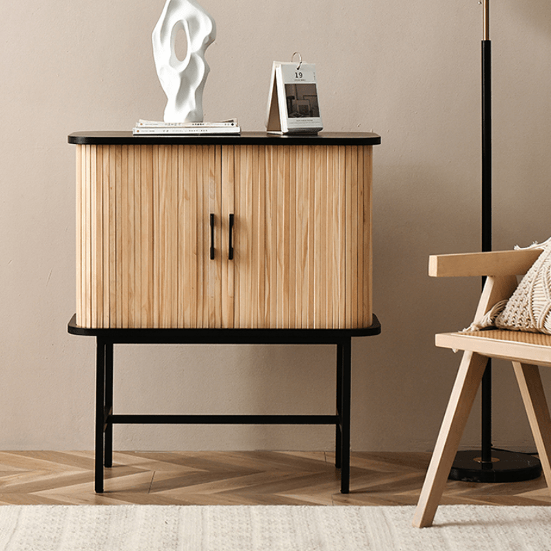 Oceana 2 Door Wood Cabinet - HomeCozify